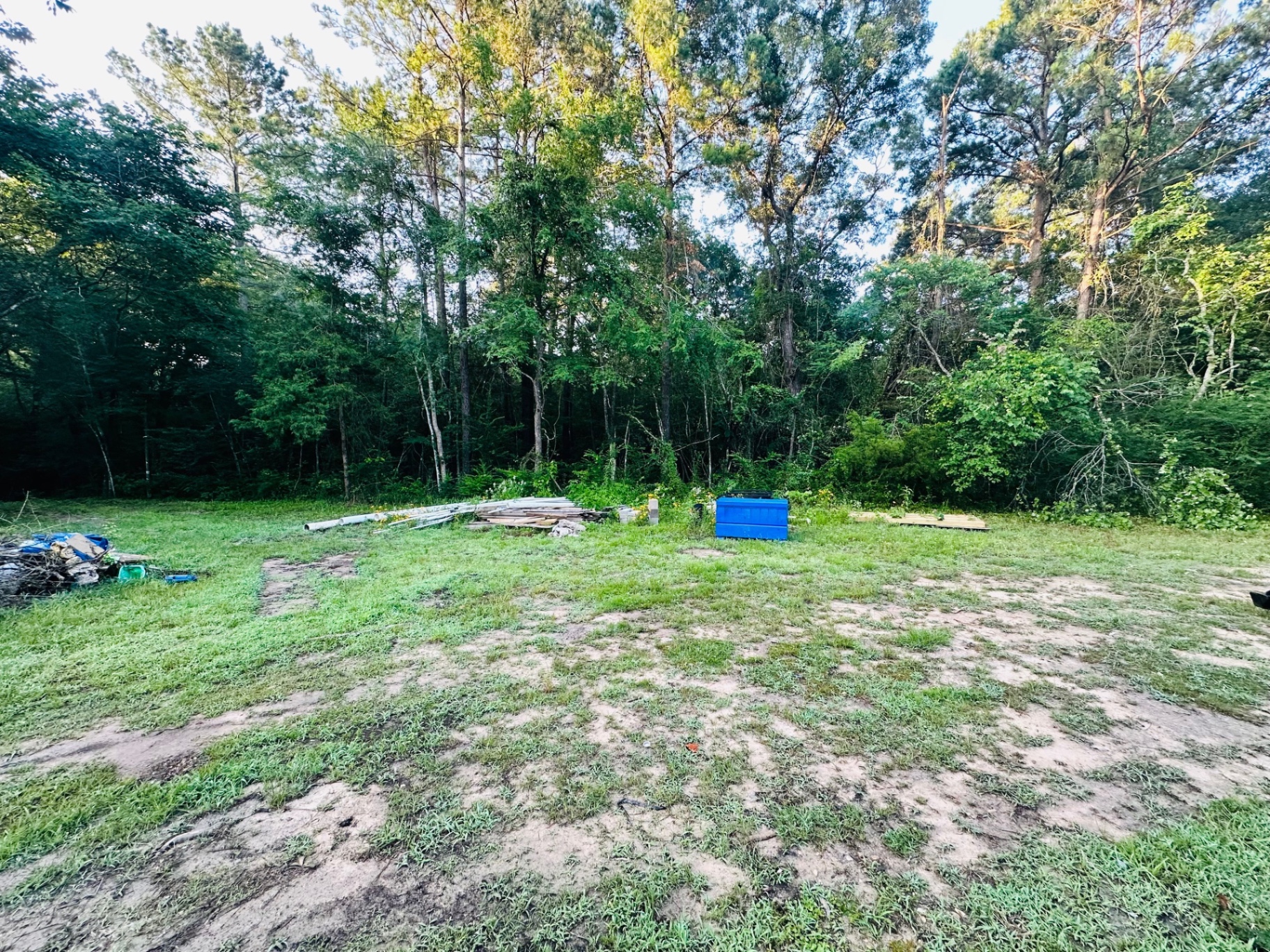 Underbrushed and mowed acreage in the East Texas pines