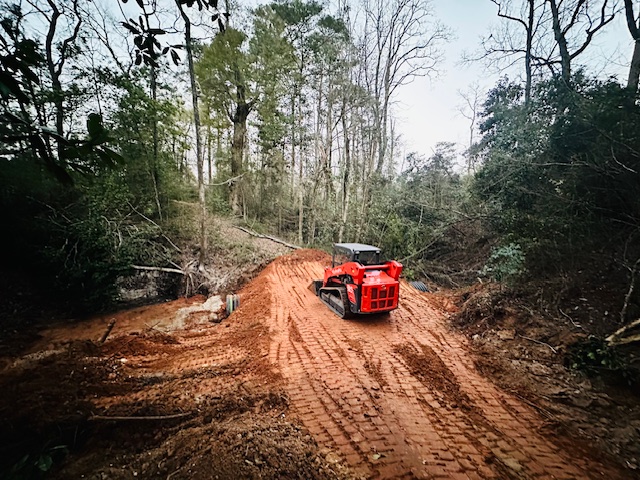 Skid steer clearing a red-dirt path through thick woods